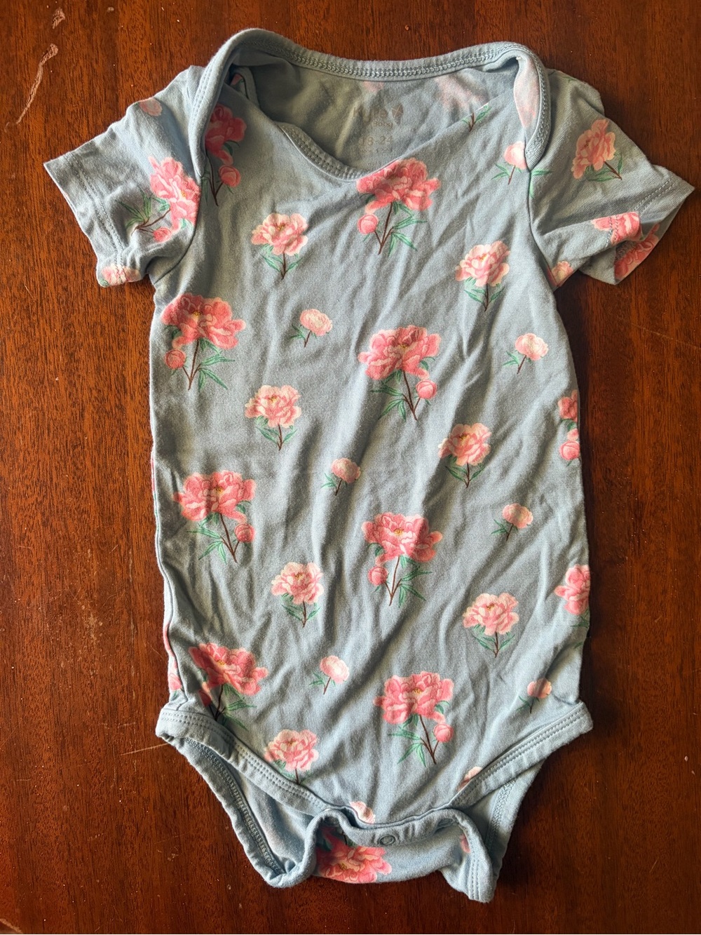 Kyte BABY Light Blue One-Piece Bodysuit with Pink Floral Print